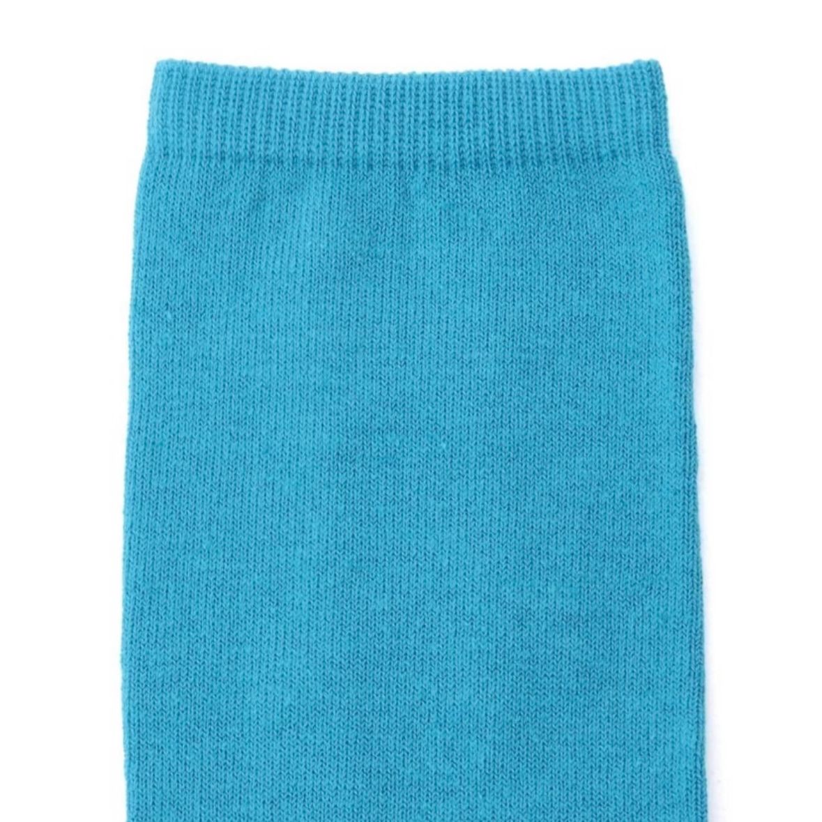 【残り一点】チューブソックス(BLUE GREEN)