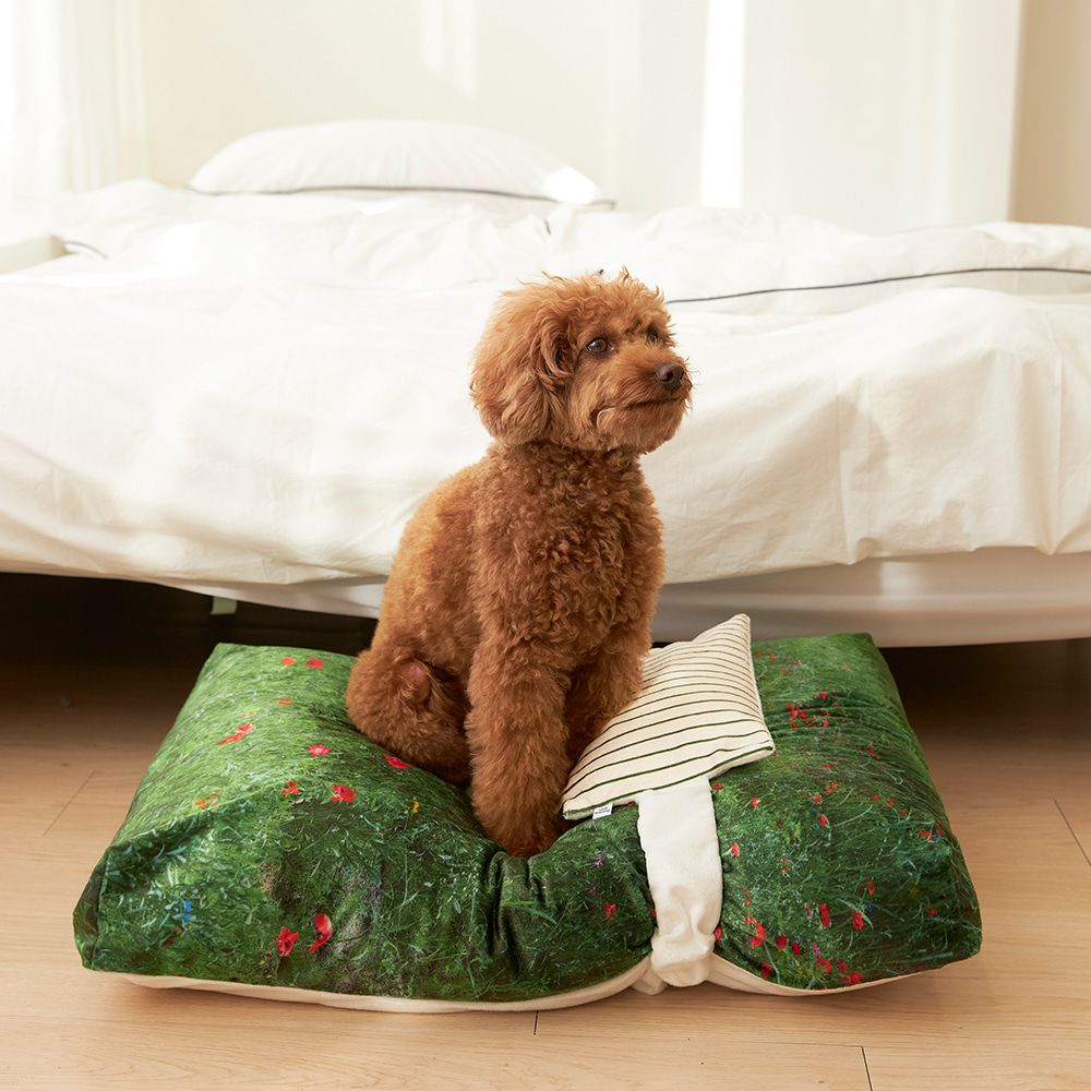 PHOTOZENIAGOODS - 【残り一点】Suncheon Blossom Pet Cushion | ACRMTSM ONLINE STORE