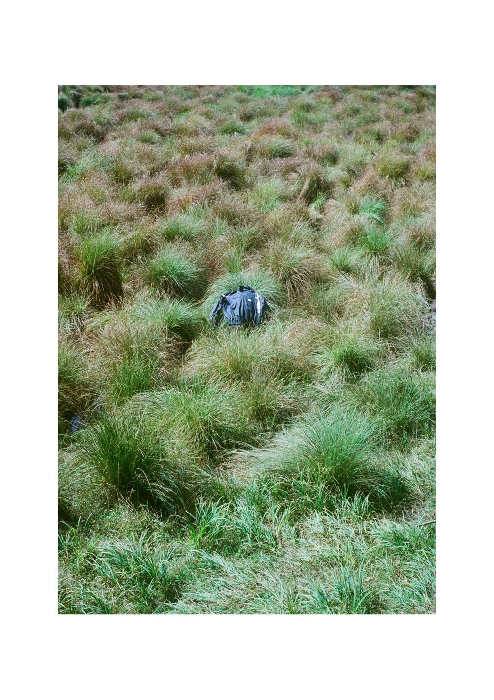 stein 2019SS Collection