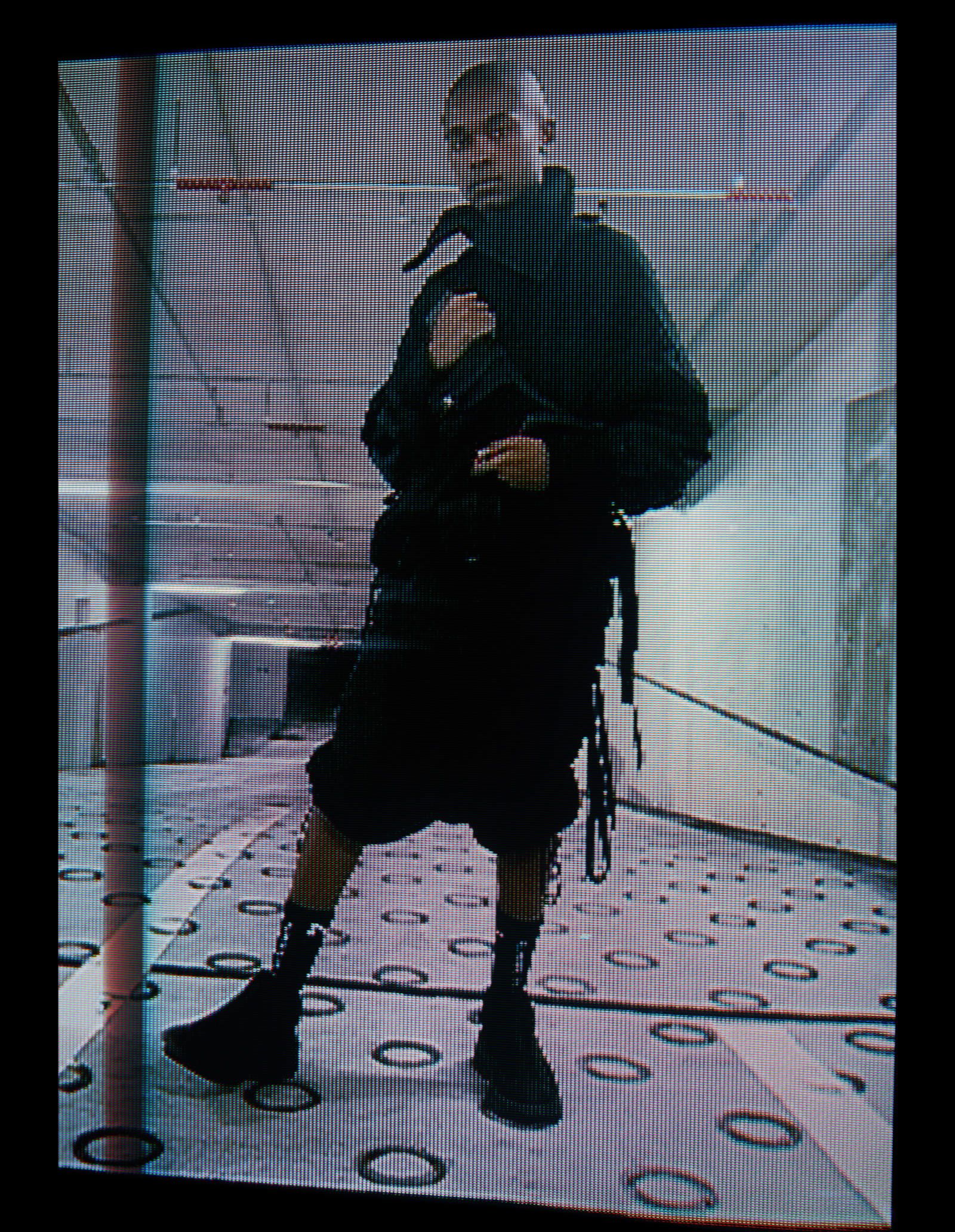 NILoS | ACRMTSM ONLINE STORE