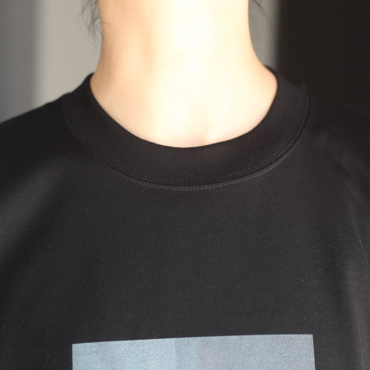 ssstein - 【残りわずか】Print Tee -LAYERING-(SUPERIOR PIMA