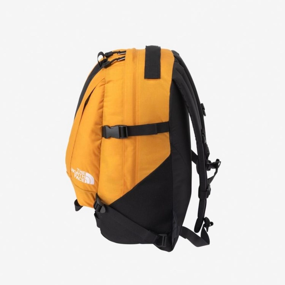 【残り一点】Kinkajou