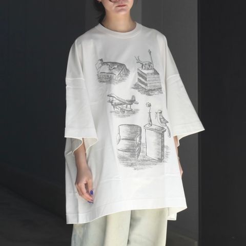 【残り一点】A Zoo Of A Room