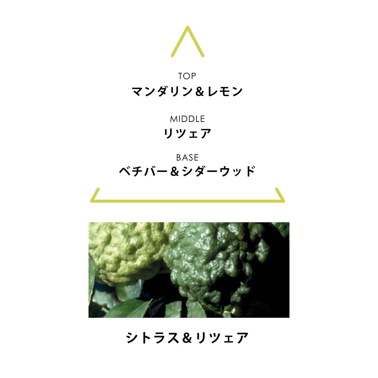 【残りわずか】ボタニカルコロン 50ml(AQUA MINIMES)