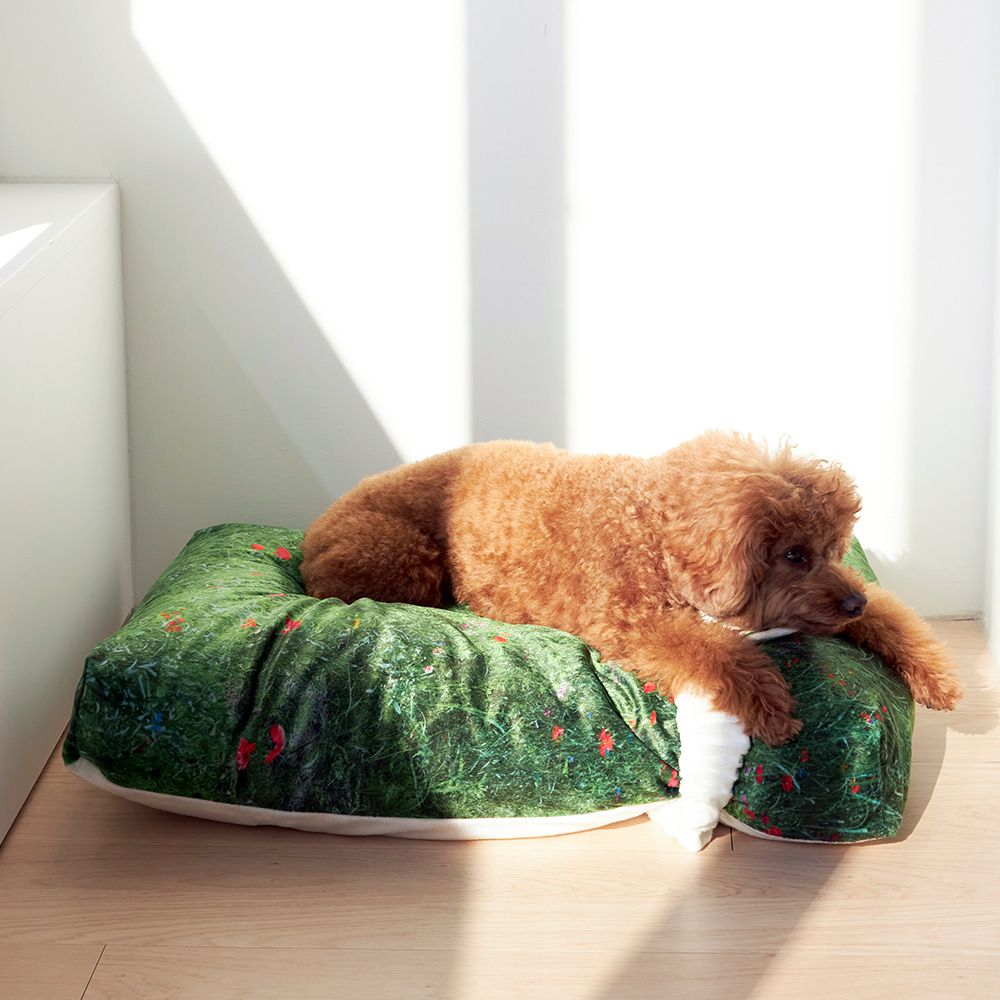 【再販売通知受付可能】Suncheon Blossom Pet Cushion