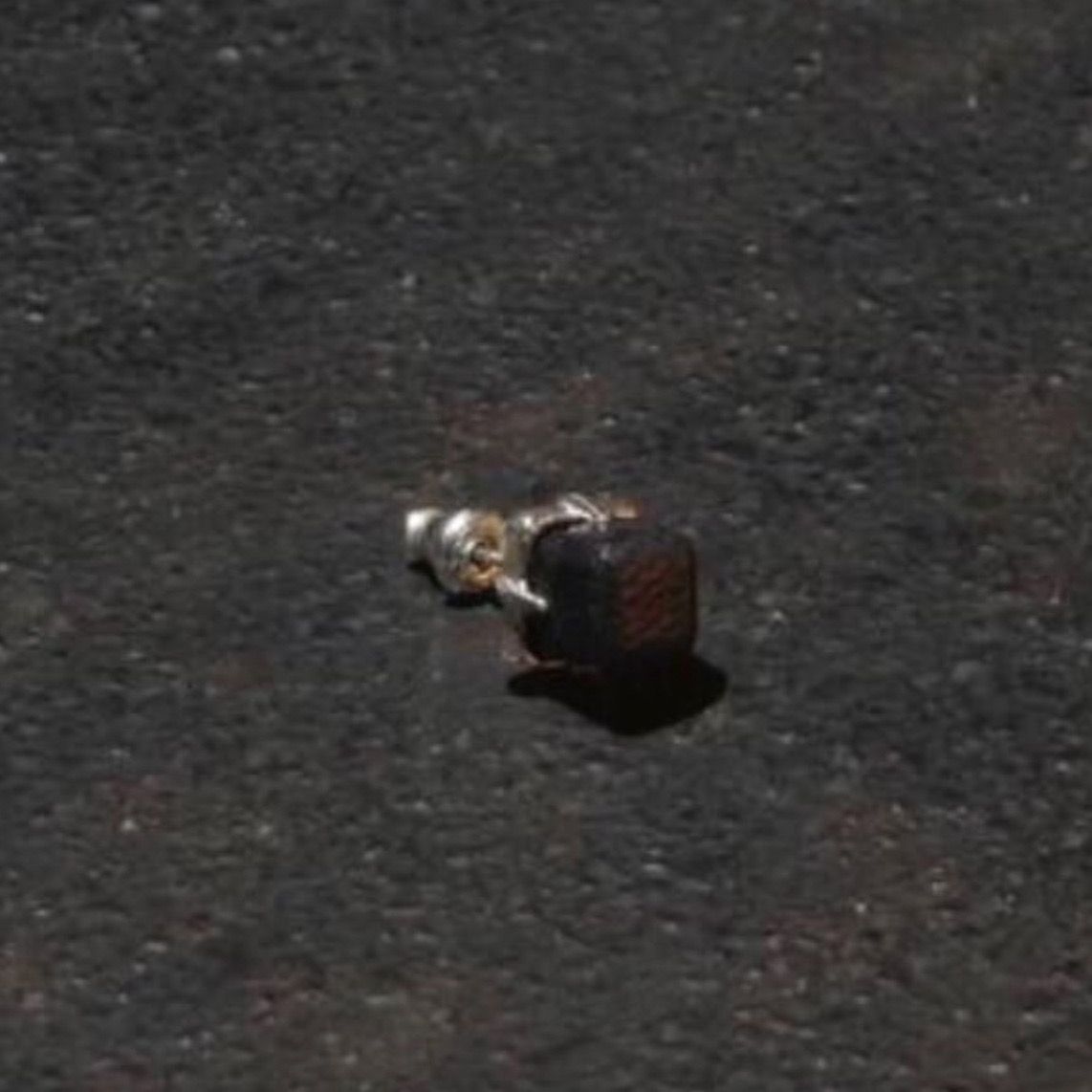 【お取り寄せ注文可能】The Claw Square Earring