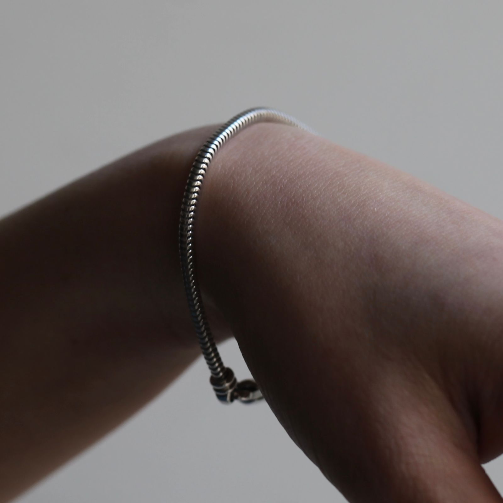 TOMWOOD - 【残り一点】Snake Bracelet(SILVER) | ACRMTSM ONLINE STORE