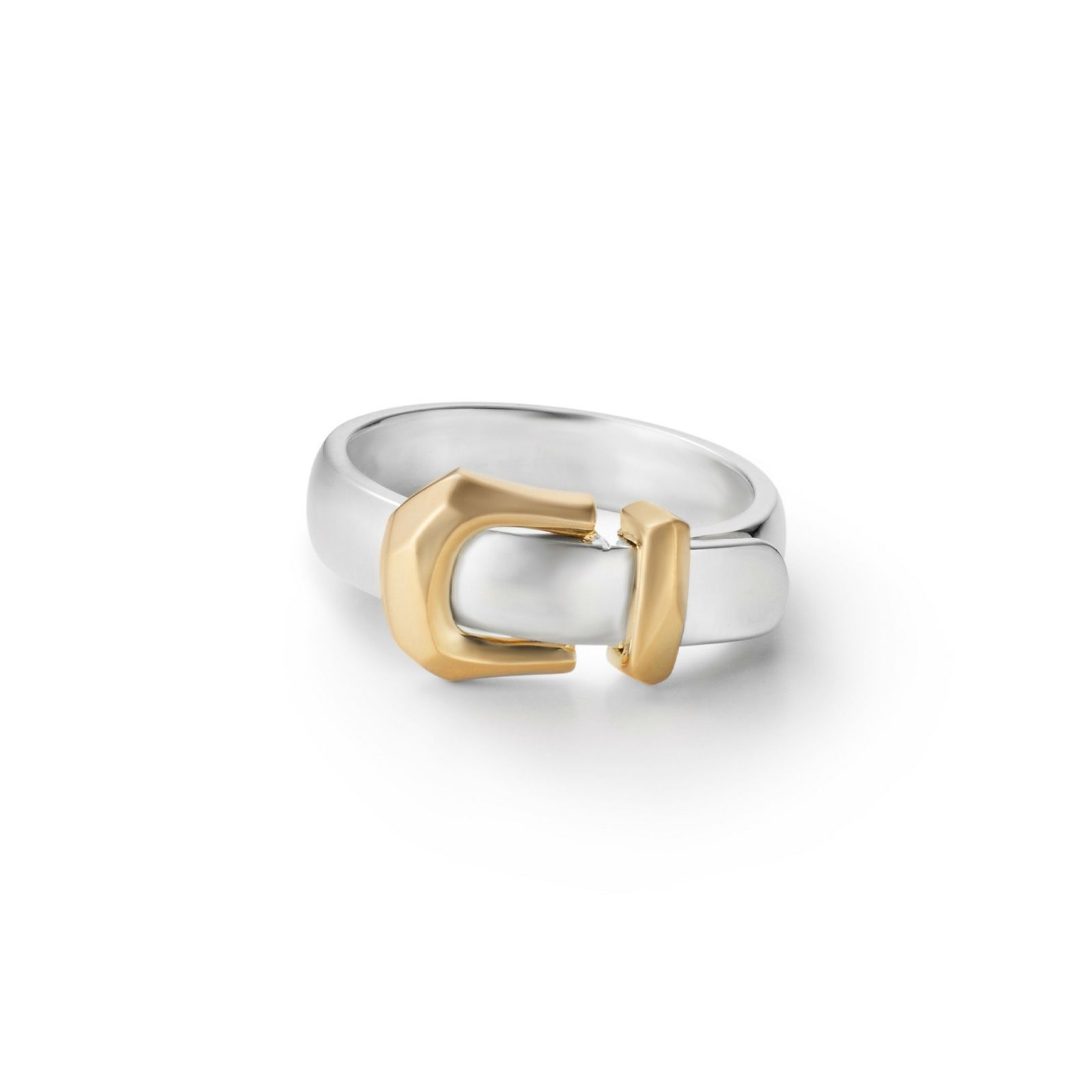 【お取り寄せ注文可能】Buckle Ring_S(SILVER×GOLD)