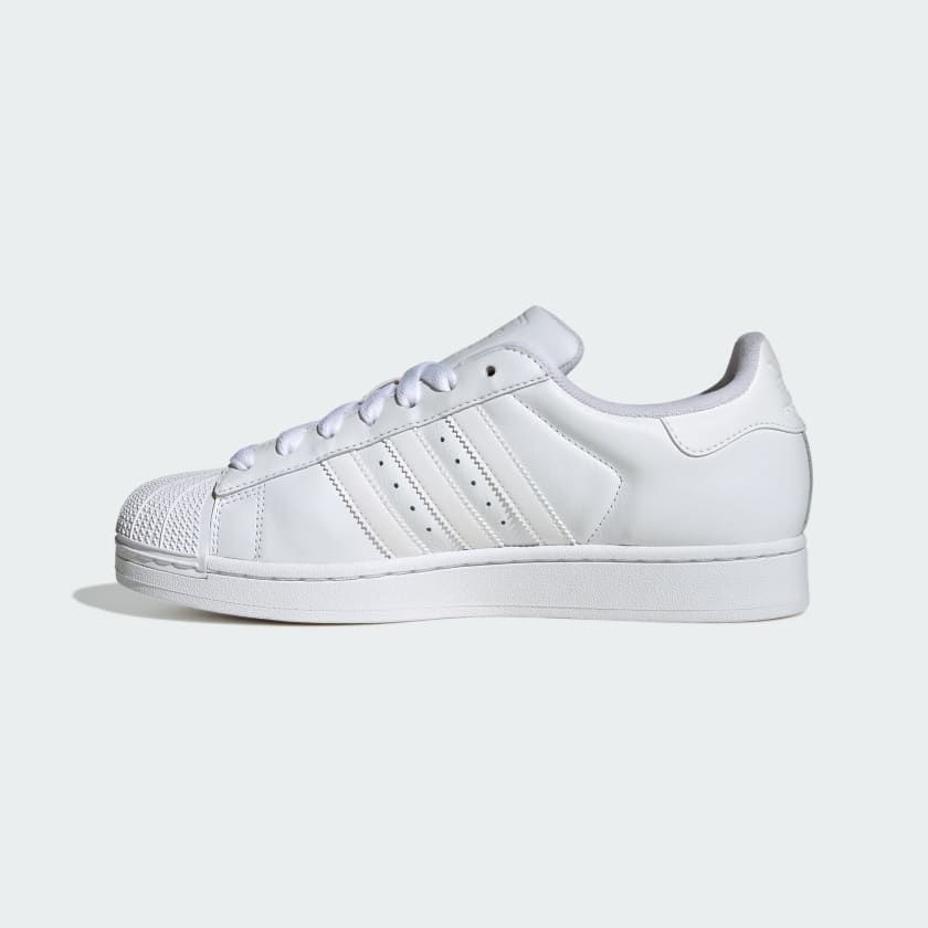 【残り一点】Superstar II