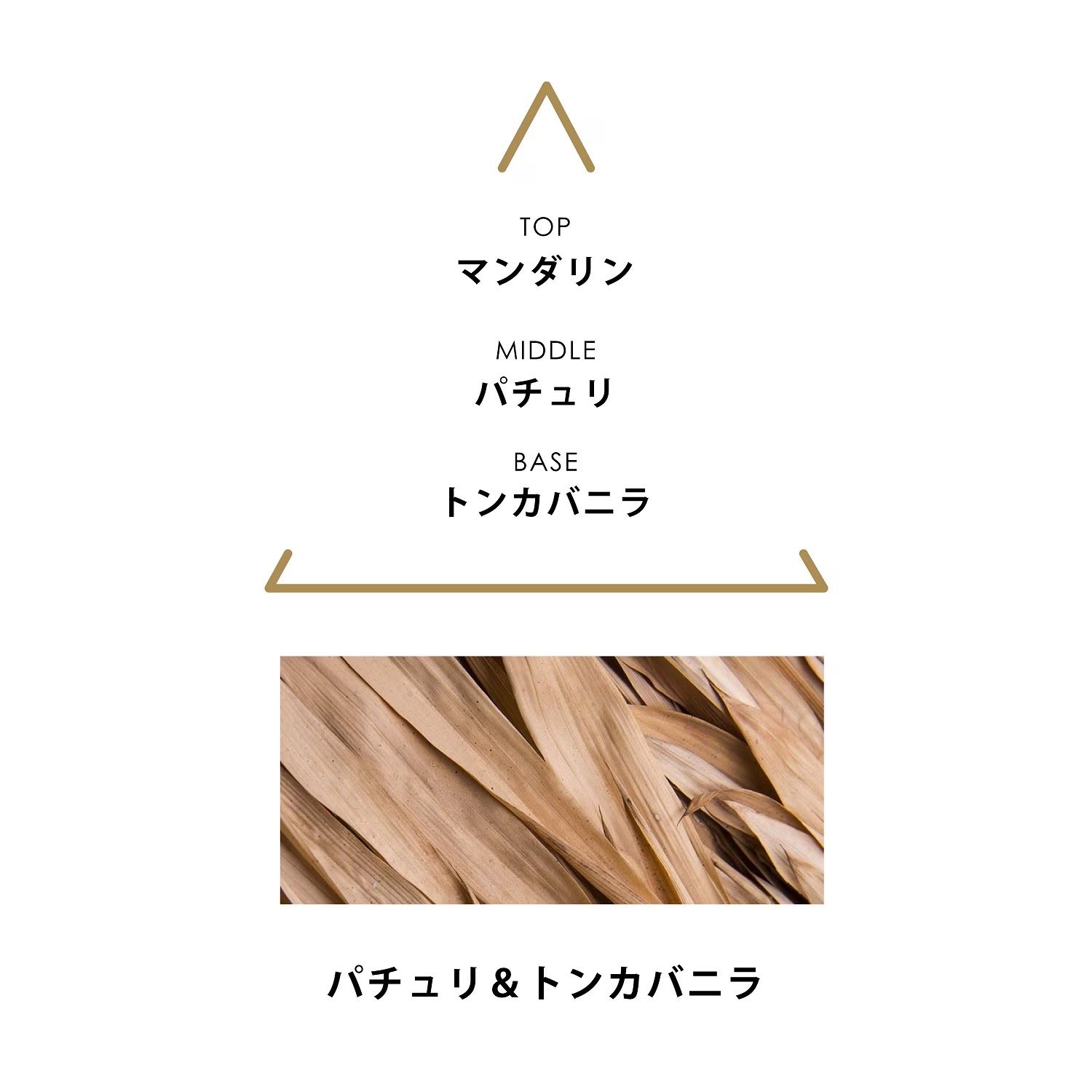 【残り一点】シンギュラーオーデパルファム 50ml(NUBICA)