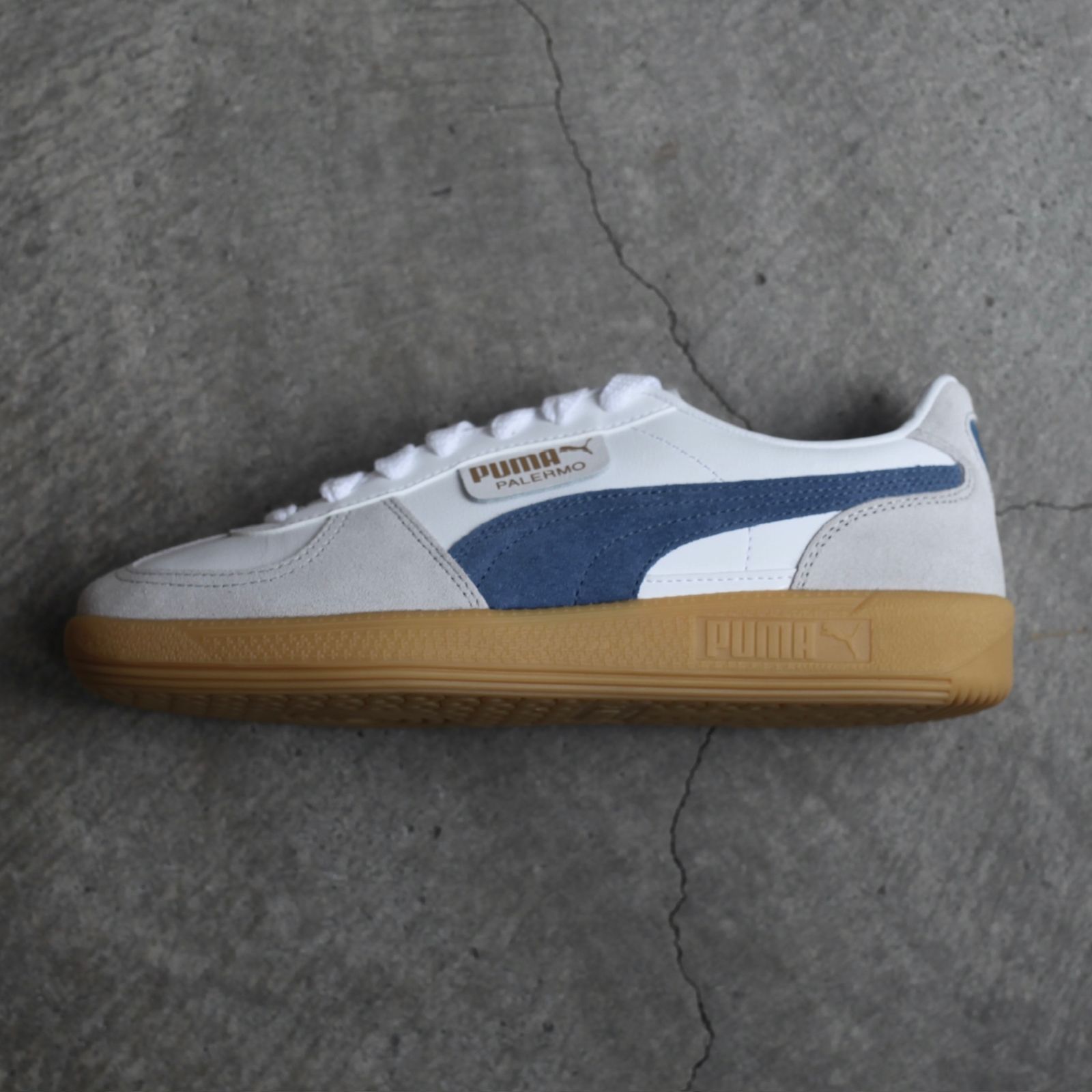 【残り一点】Palermo LTH