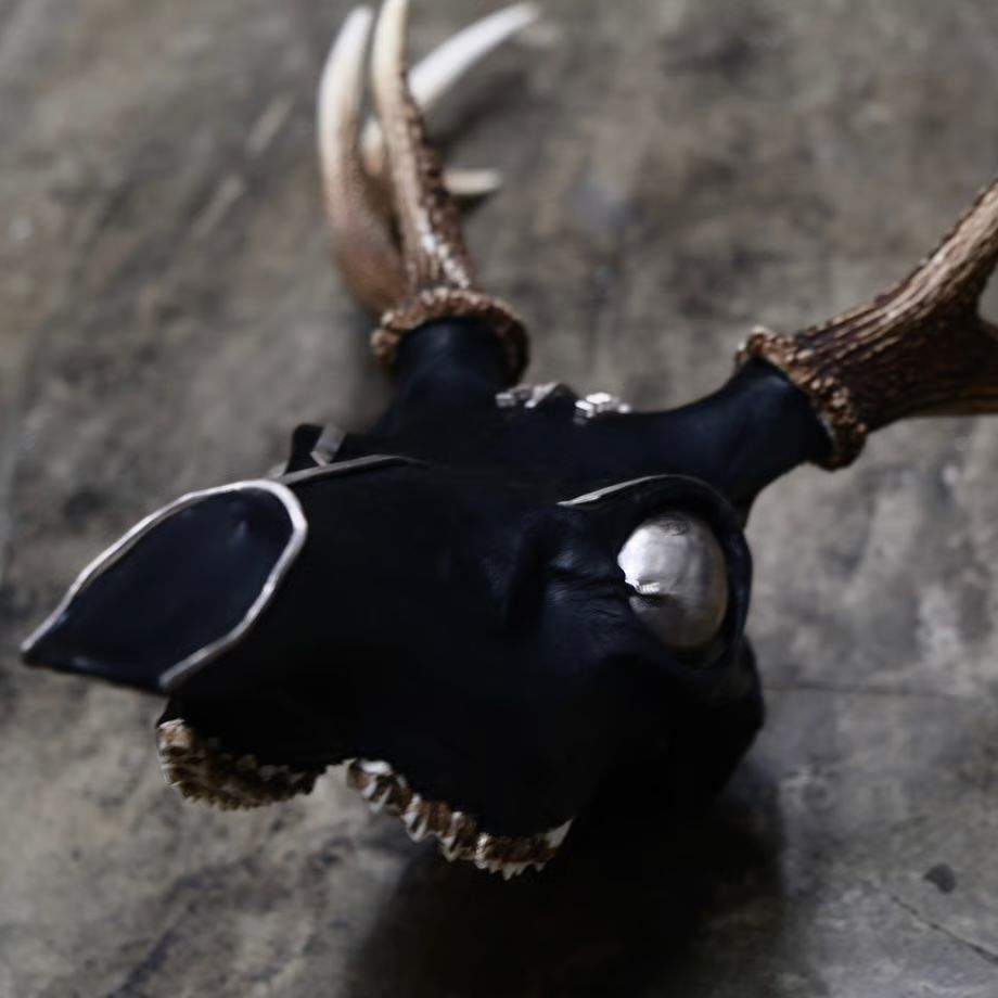 【お取り寄せ注文可能】Revive Deer Head(TIBETAN SKULL)