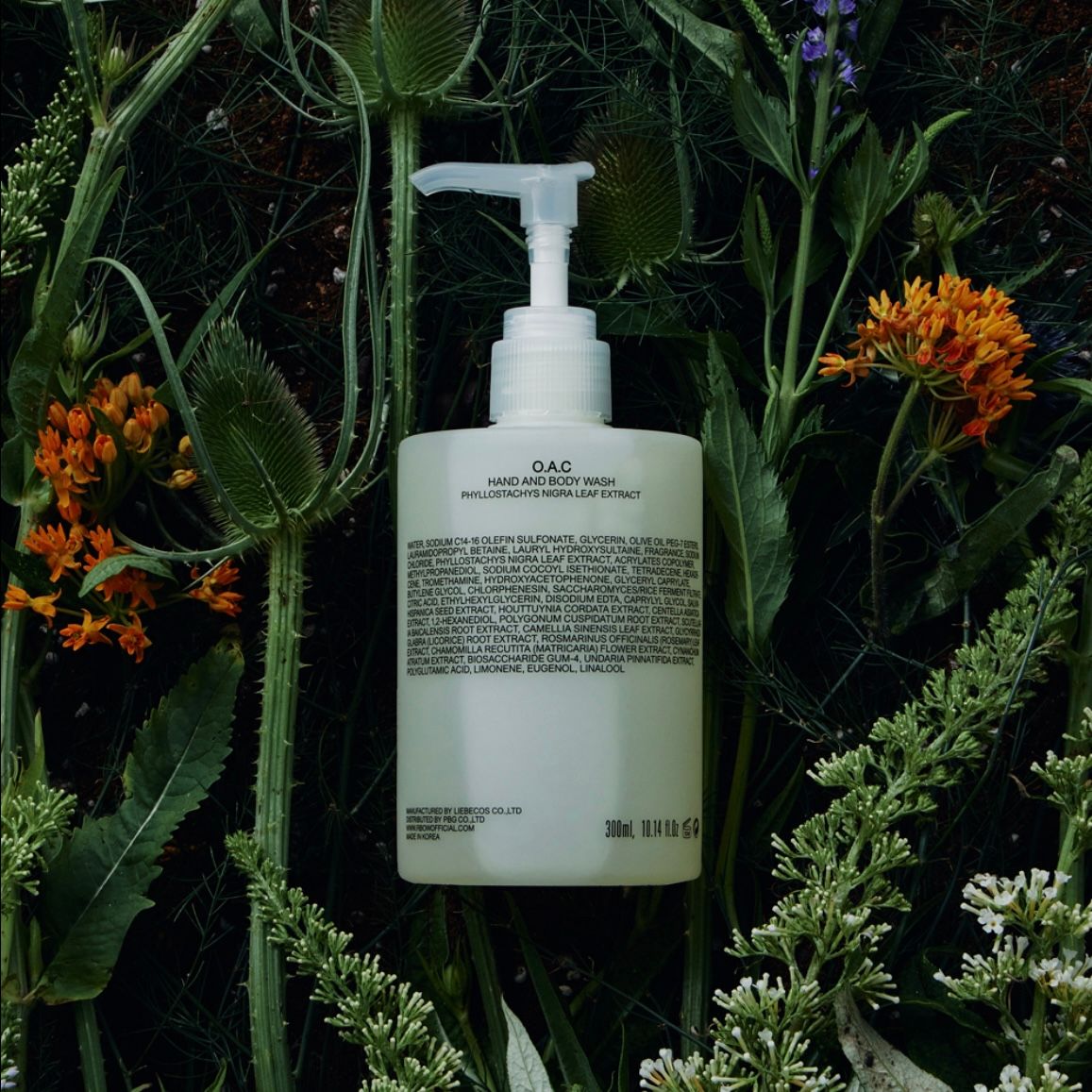 【残りわずか】Hand And Body Wash(O.A.C)