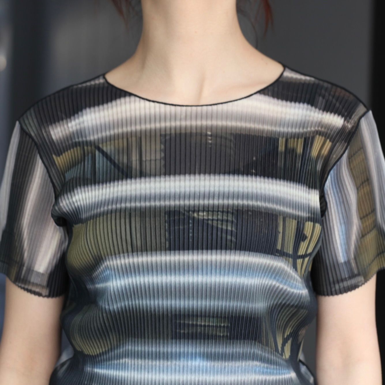 【残り一点】Sheer Graphic Top