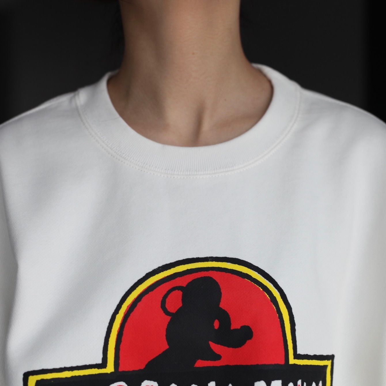 【残り一点】Jurassic Mouse Pullover Sweat