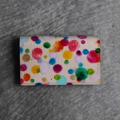 【残り一点】Paint Case(CARD)