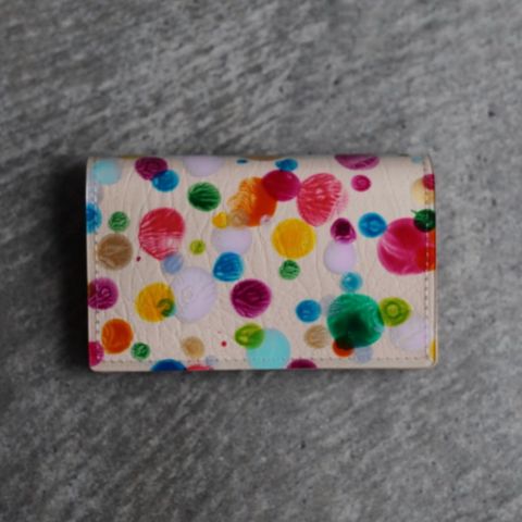 【残り一点】Paint Case(CARD)