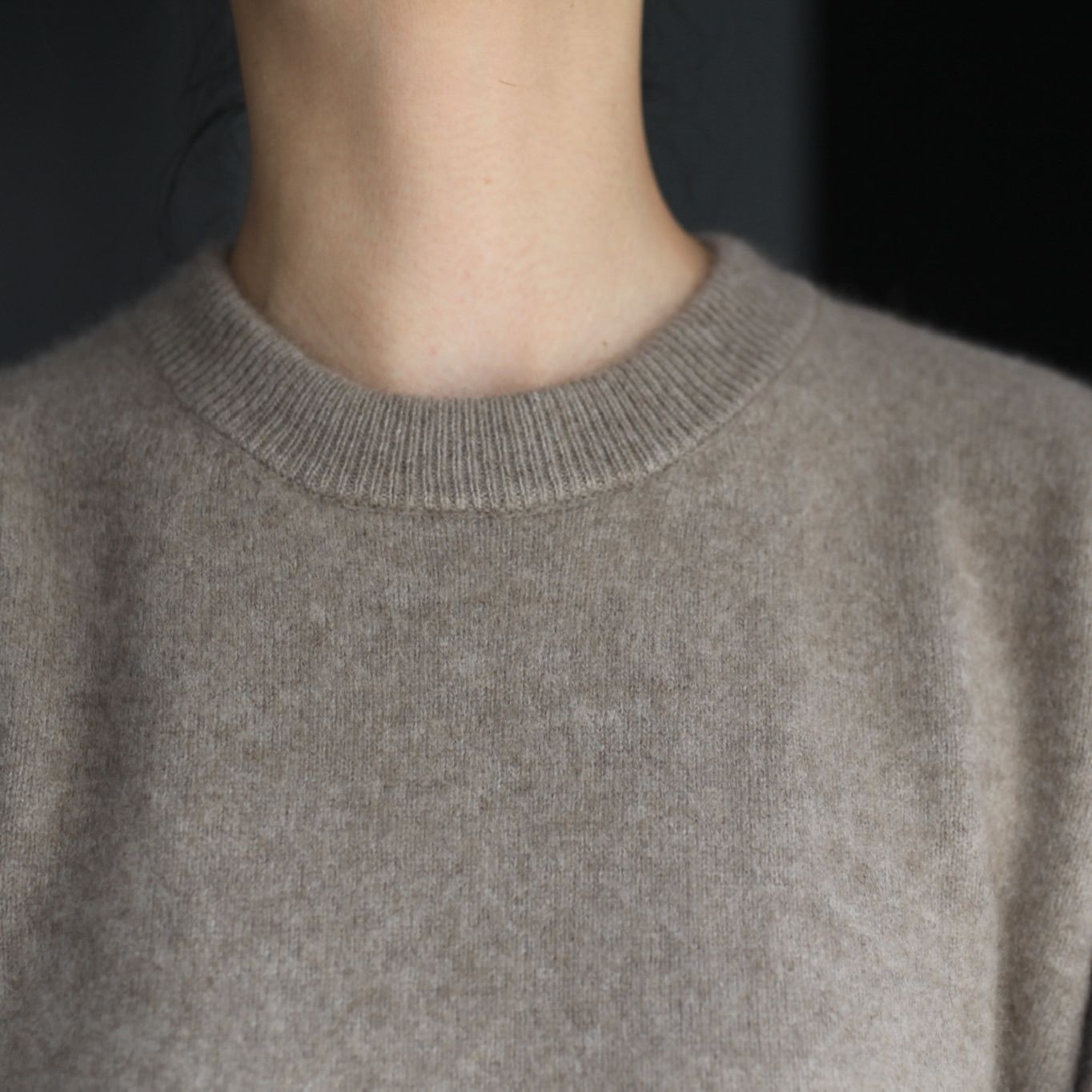 stein - 【残りわずか】Extra Fine Cashmere Sable Knit LS | ACRMTSM ...
