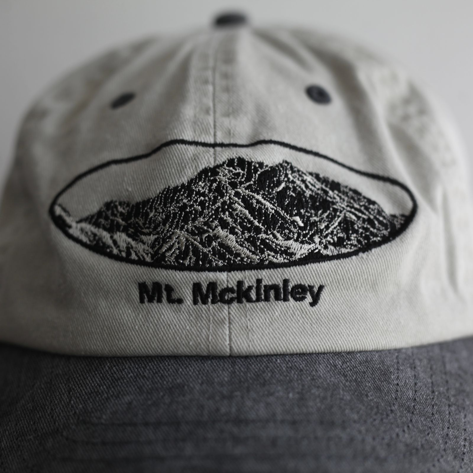 【残りわずか】Souvenir Cap(MT MCKINLEY)