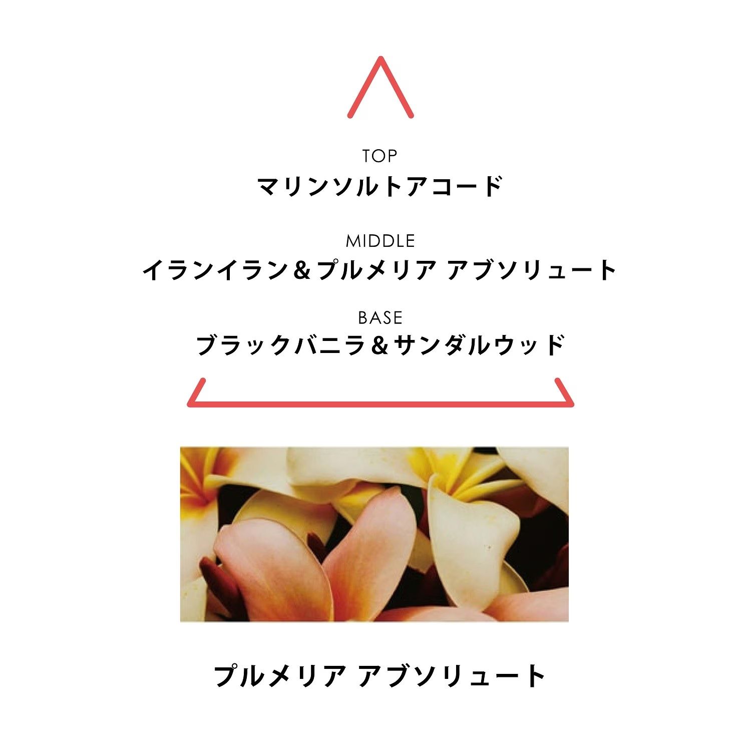 【残りわずか】ボタニカルコロン 10ml(AQUA MAHANA)