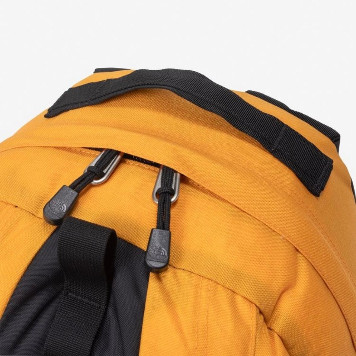 【残り一点】Kinkajou