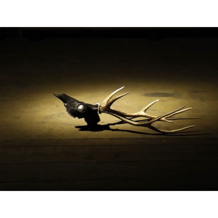 【お取り寄せ注文可能】Revive Deer Head