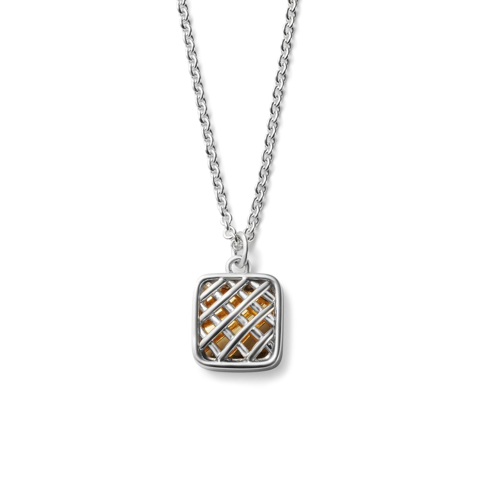 【お取り寄せ注文可能】Wire Pendant_L(GOLD)