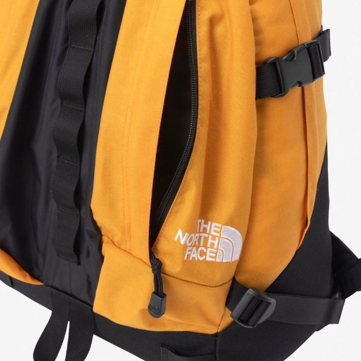 【残り一点】Kinkajou