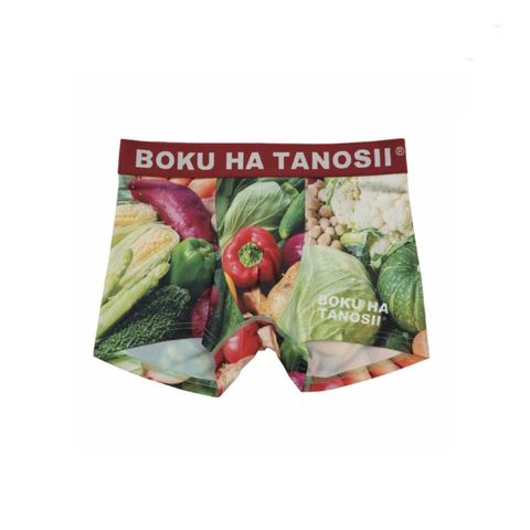 【残り一点】Boku Tano Boxer(HEALTHY PHOTO)