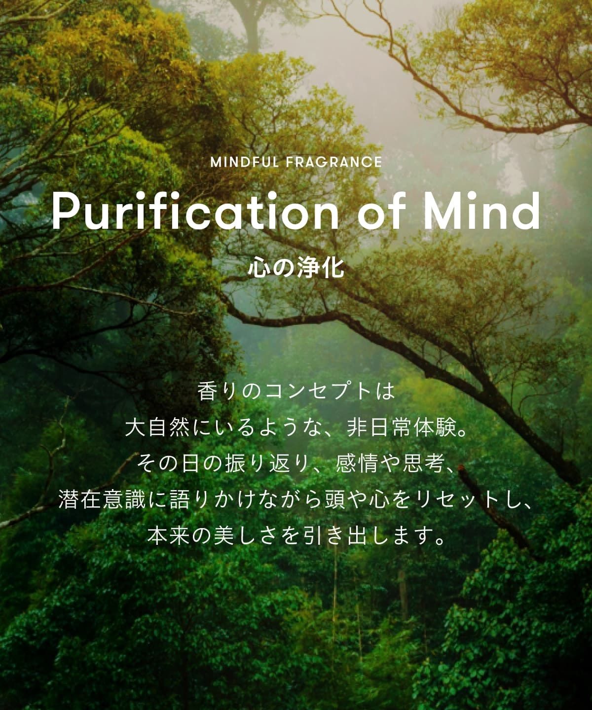 マインドフル フレグランス / Purification of Mind（心の浄化） 100ml