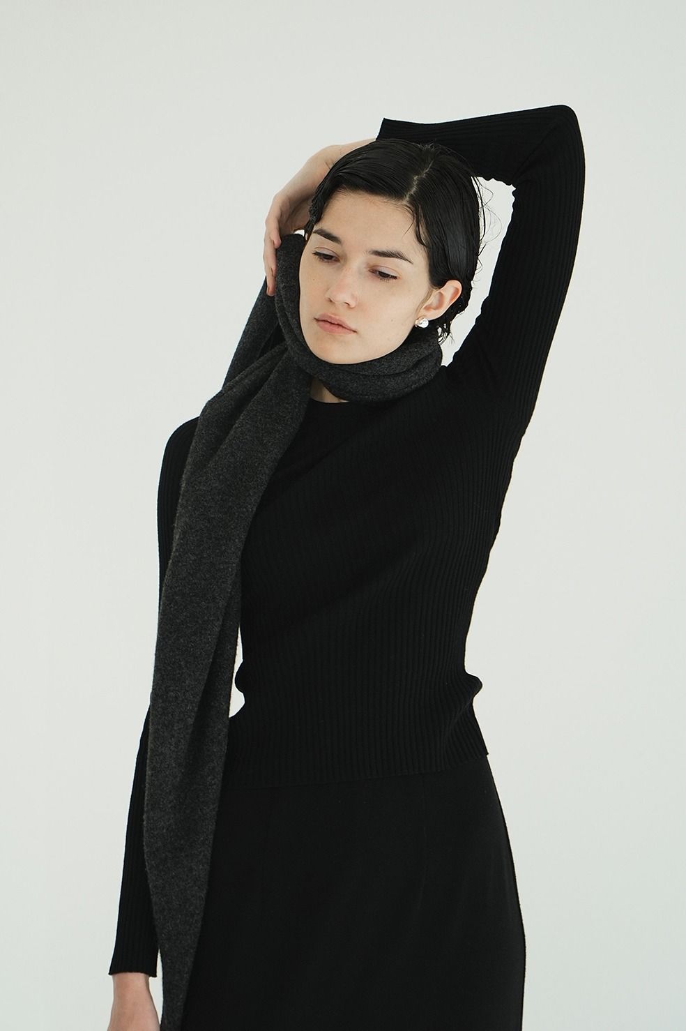 シアーリブニットカットソー | SHEER RIB KNIT TOPS (BLACK)