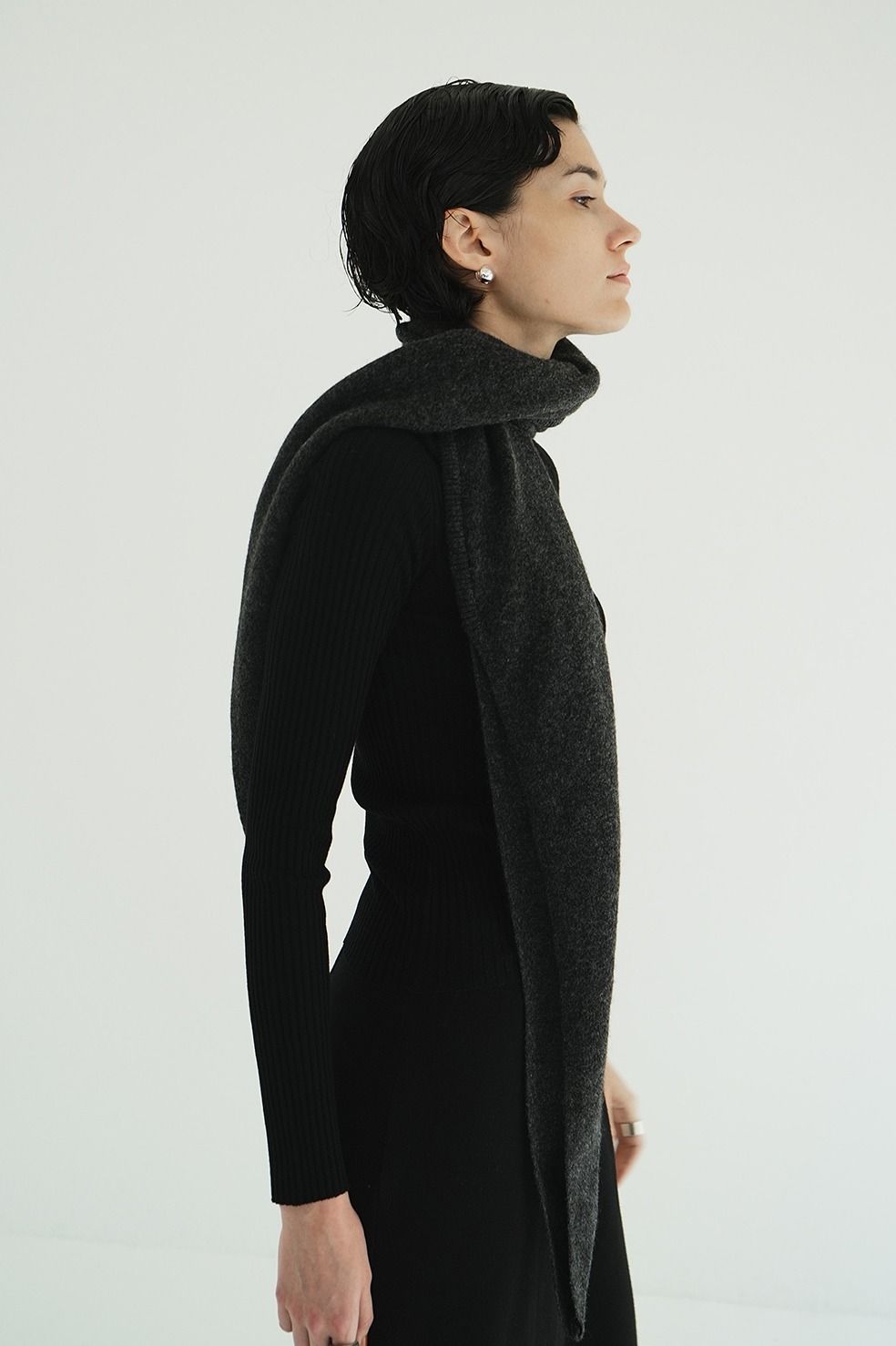 シアーリブニットカットソー | SHEER RIB KNIT TOPS (BLACK)