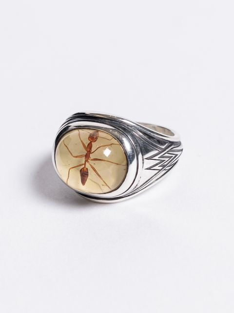 蟻リング COLLABORATION WITH MARS - IVORY