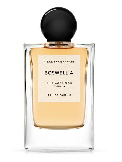 BOSWELLIA (ボスウェリア) Eau De Parfum 50ml | オーデパルファム / 香水