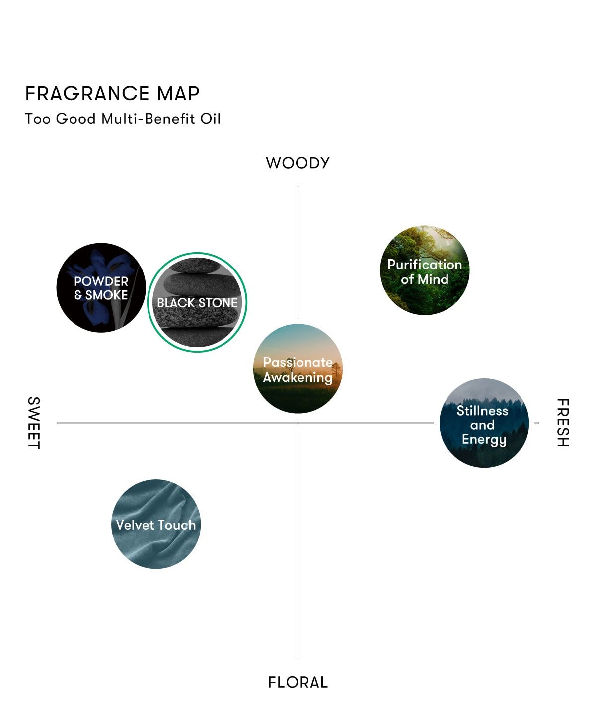 Ameri VINTAGE コラボ トゥーグッド マルチベネフィットオイル / Black Stone（新たな自由への道を照らす） (50ml)