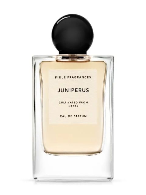 JUNIPERUS(ジュニパラス) Eau De Parfum 50ml | オーデパルファム / 香水