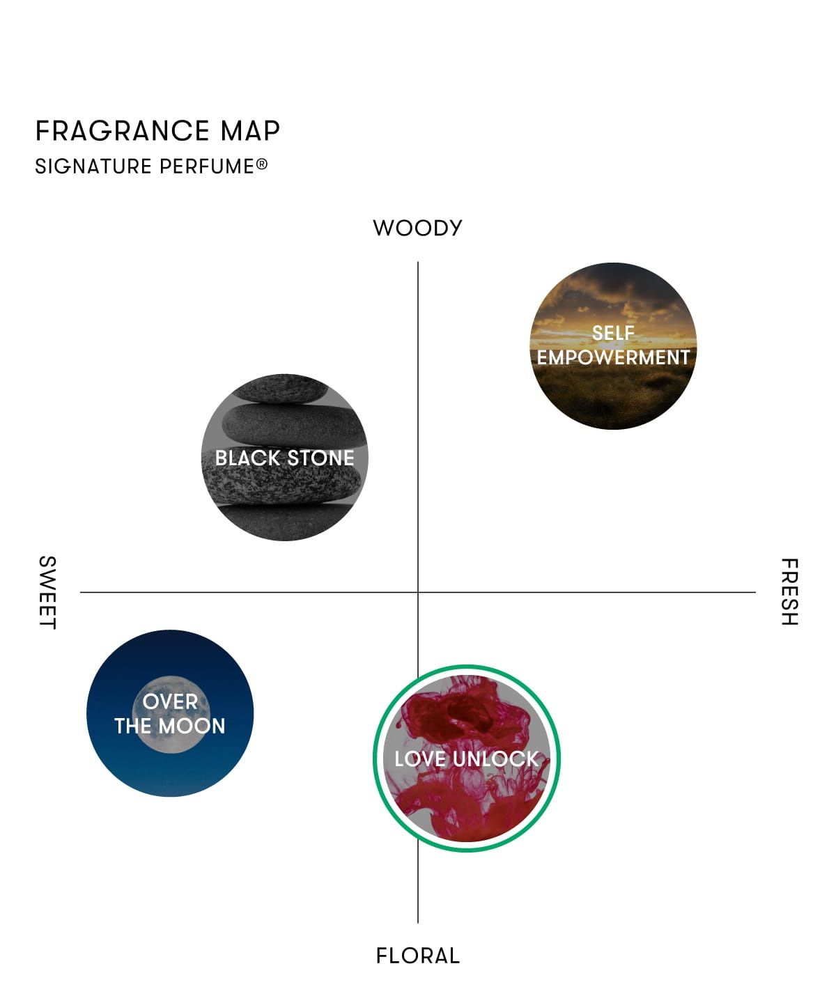 シグネチャーパフューム（S) BLACK STONE (香水）