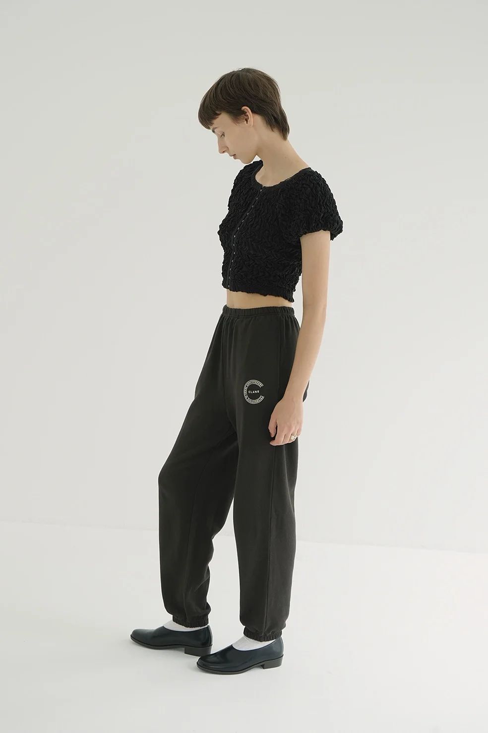 クラネ CLANE シャーリング パフ トップス SHIRRING PUFF TOPS チェック シアー素材 レディース 【2025 新作】 CLANE - シャーリングパフトップス - SHIRRING PUFF TOPS BLACK