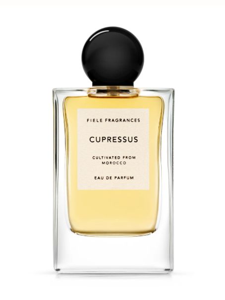 CUPRESSUS(カプレサス) Eau De Parfum 50ml | オーデパルファム / 香水