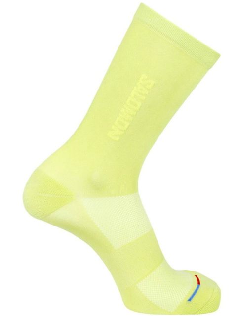 Salomon Pulse156,flow alpha xl, ケース3点 Salomon Pulse156,flow alpha xl, ケース3点
