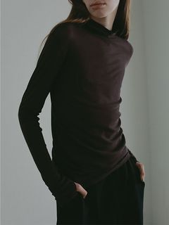 バーサタイルハイネックシアーロンTee (BROWN)
