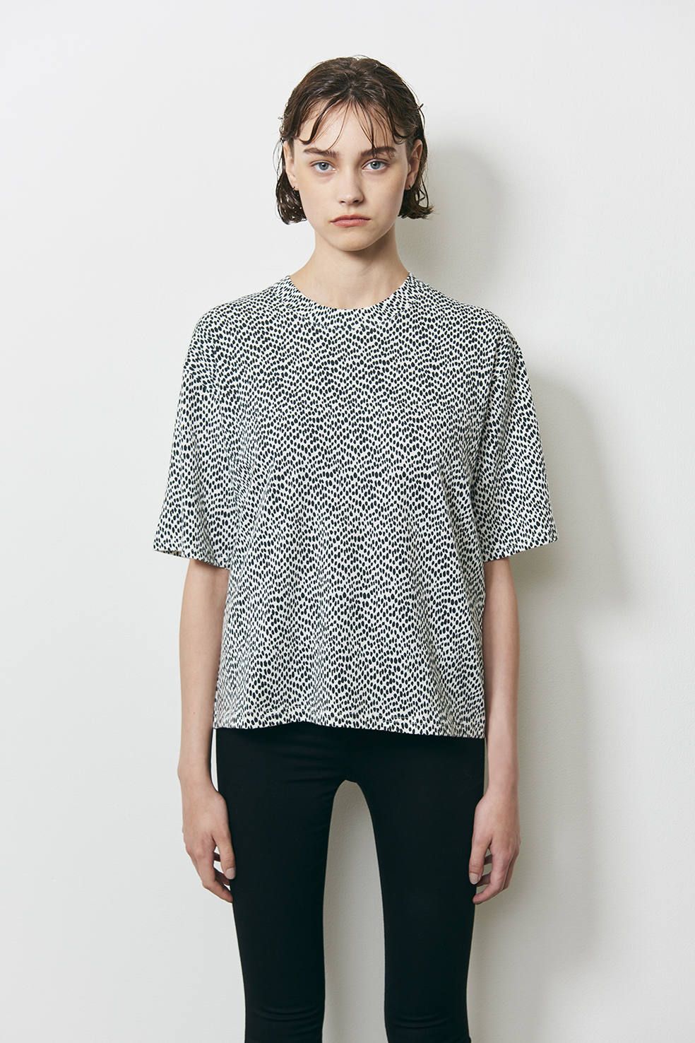 アニマルドットTシャツ - ANIMAL DOTS T/S