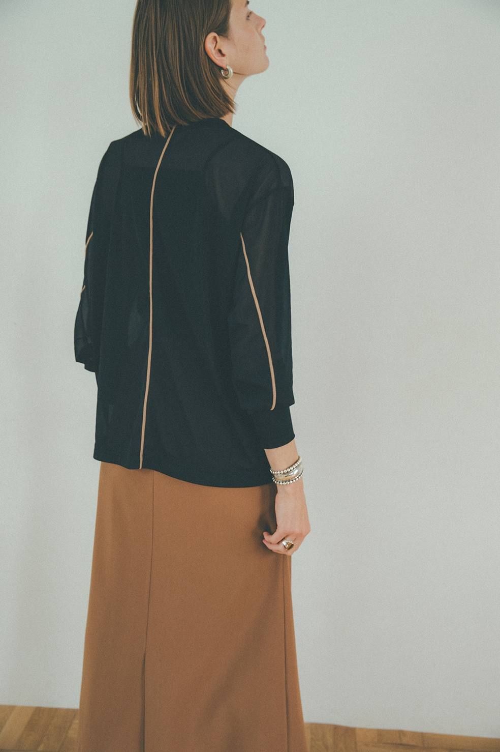 CLANE - COLOR LINE SHEER LONG SLEEVE TOPS - BLACK | ADDICT