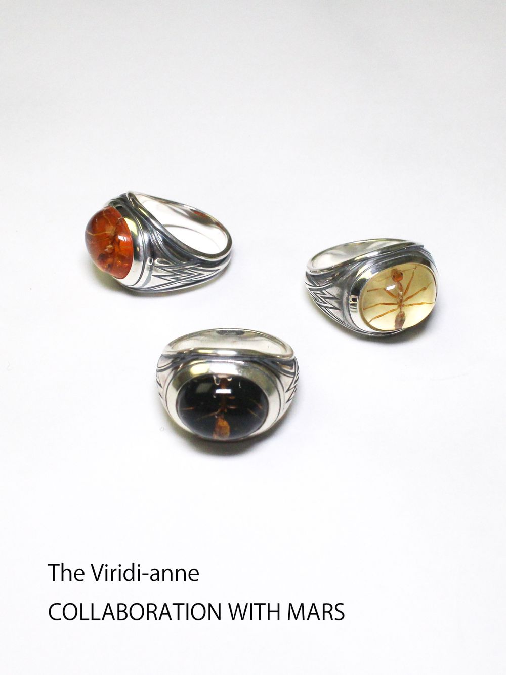 The Viridi-anne COLLABORATION WITH MARS  『Ant RING』