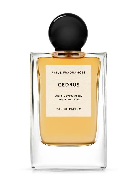Eau De Parfum 50ml(CEDRUS) | オーデパルファム / 香水