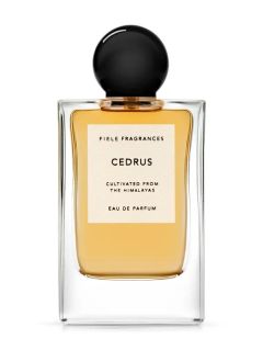 Eau De Parfum 50ml(CEDRUS) | オーデパルファム / 香水