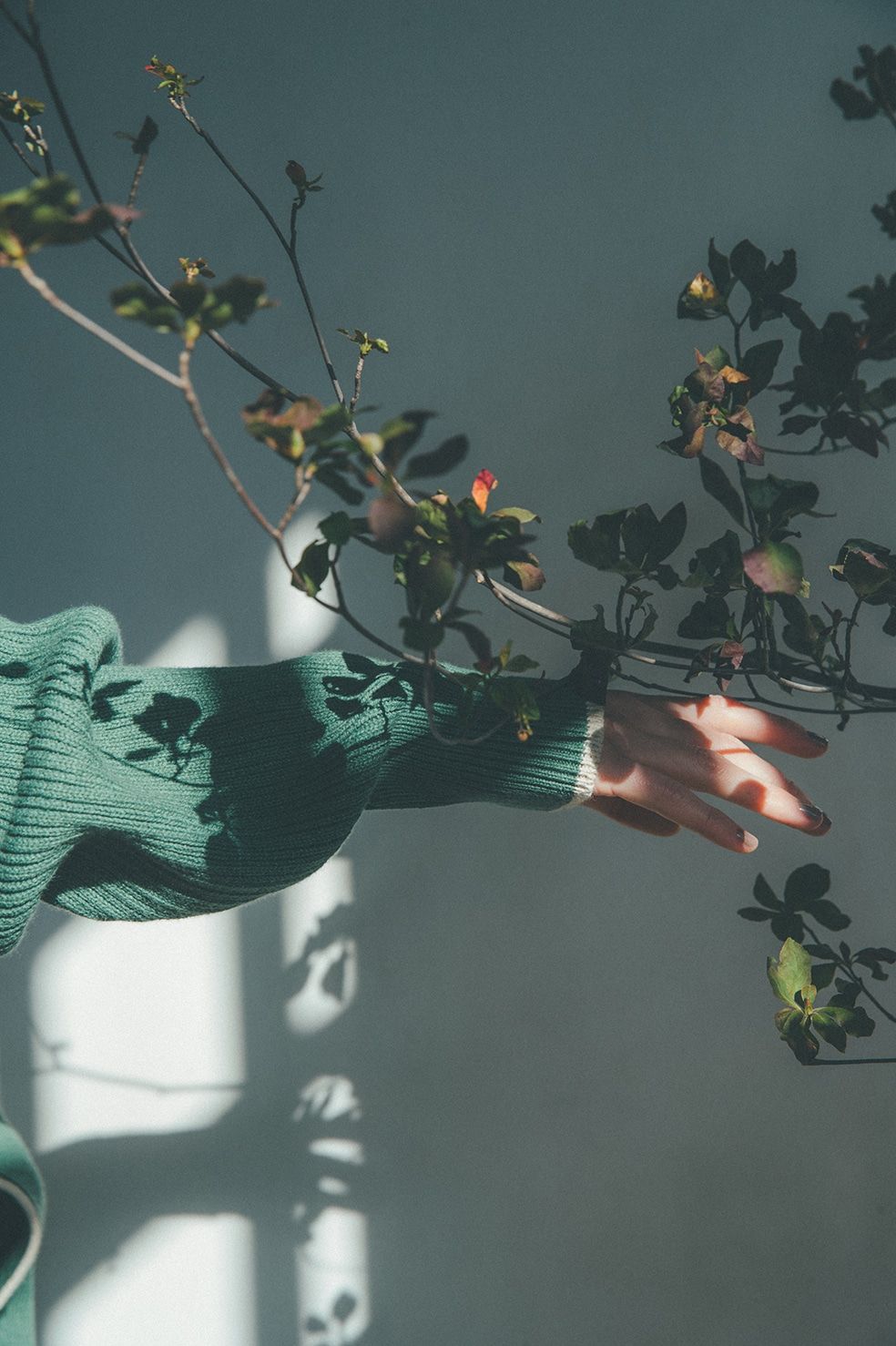 ダブルフェイスラインニット -  DOUBLE FACE LINE KNIT - GREEN