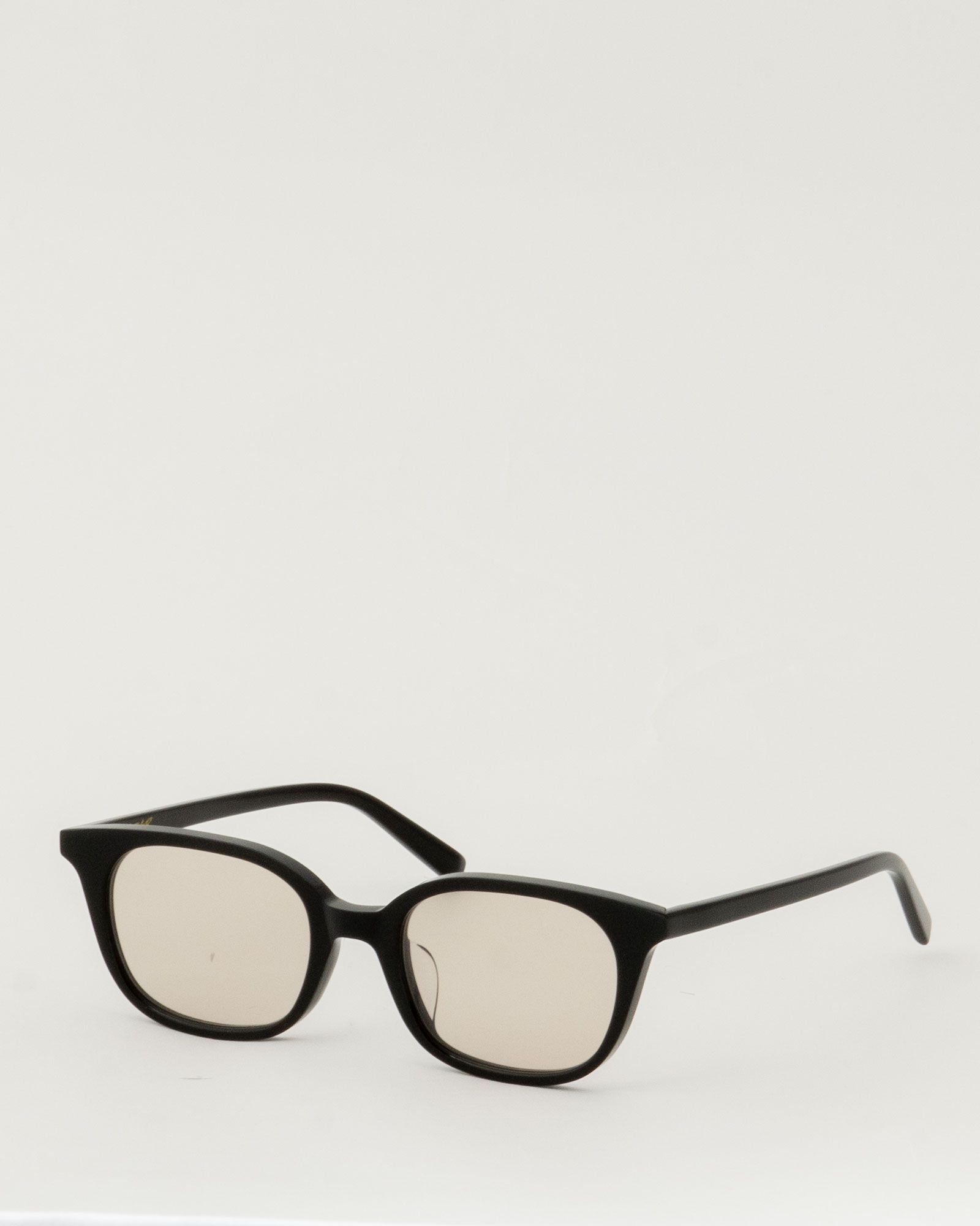 Evan 01(b). Shiny Black (Lt.Brown)