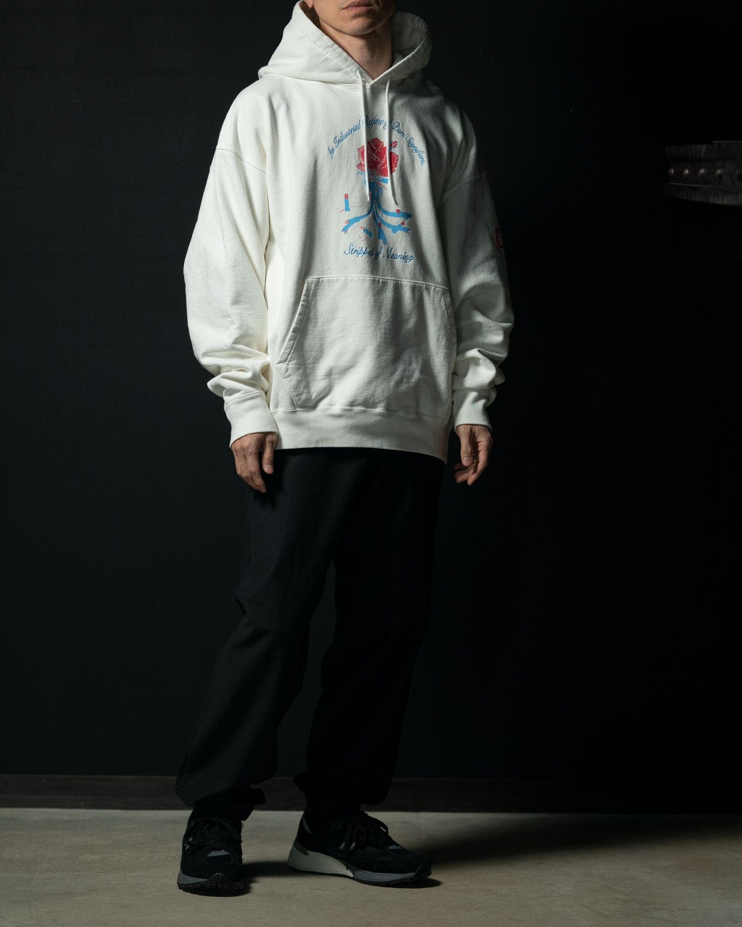 c.e シーイー パンツ supreme stussy | gulatilaw.com