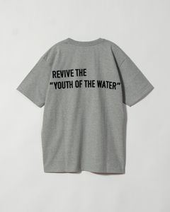 T-shirts / Grey / 251-05002